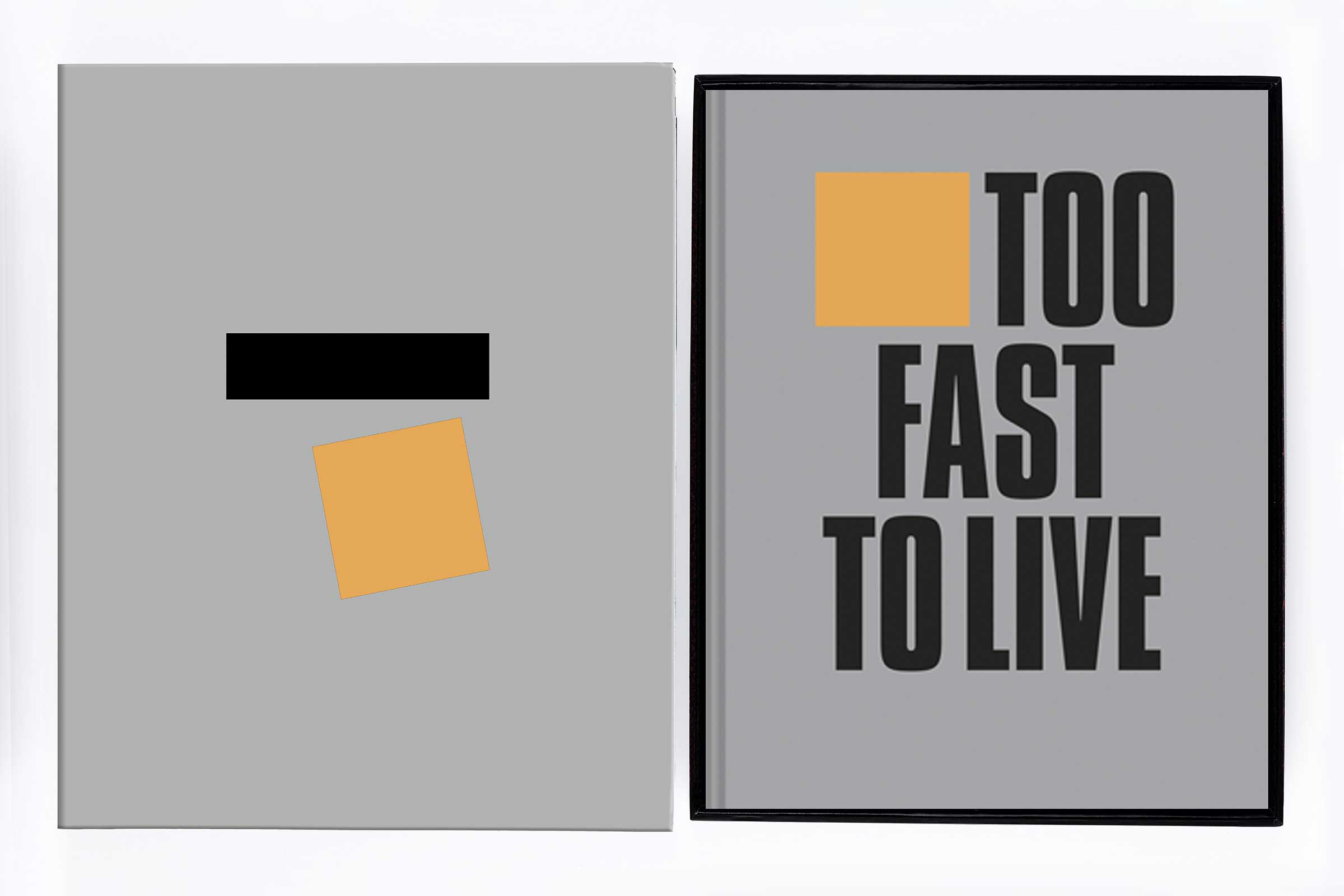Too Fast To Live Too Young To Die (Limited Edition)